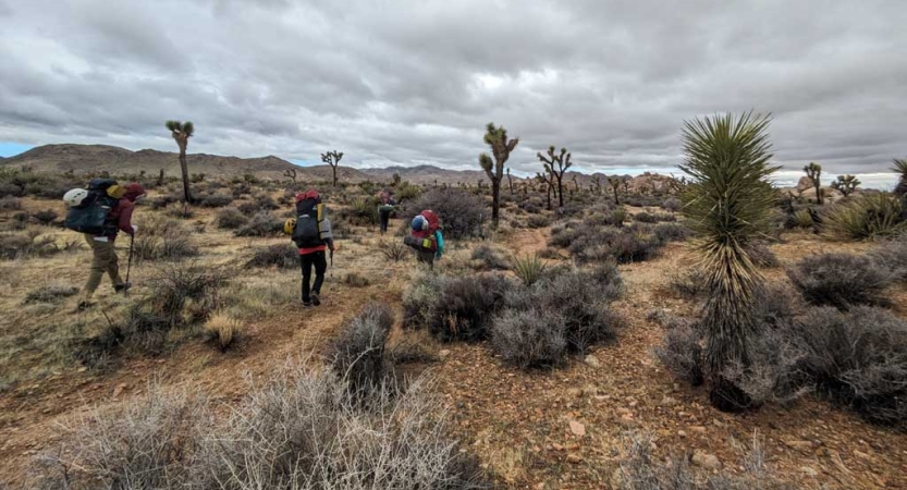 A group of people wearing backpacks hike through the desert environment of Joshua Tree. 